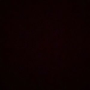 Meet your Posher, Skylar